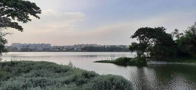 Madiwala Lake Bengaluru