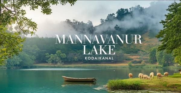 Mannavanur Lake Kodaikanal, Tamil Nadu
