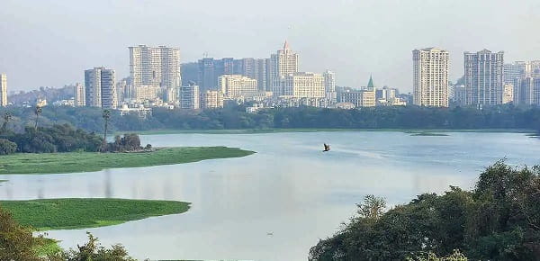 Powai Lake Mumbai