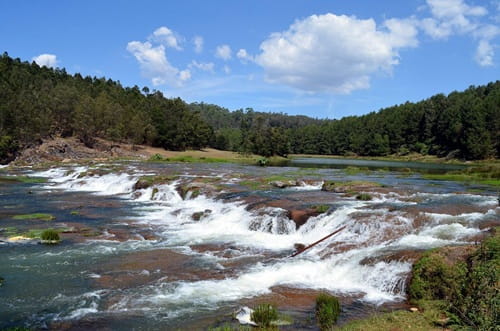 Pykara Lake Ooty