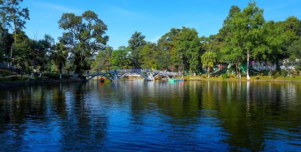 Ward's Lake Shillong
