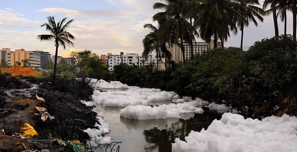 Bellandur Lake Bengaluru