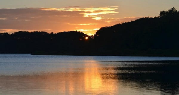 Hebbal Lake Bengaluru