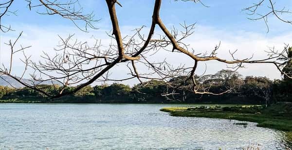 Kukkarahalli Lake Mysuru: Location, Directions, Timings & Nearby Places
