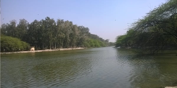 Trilokpuri Sanjay Lake Delhi